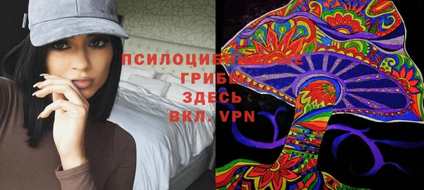 PSILOCYBIN Беломорск